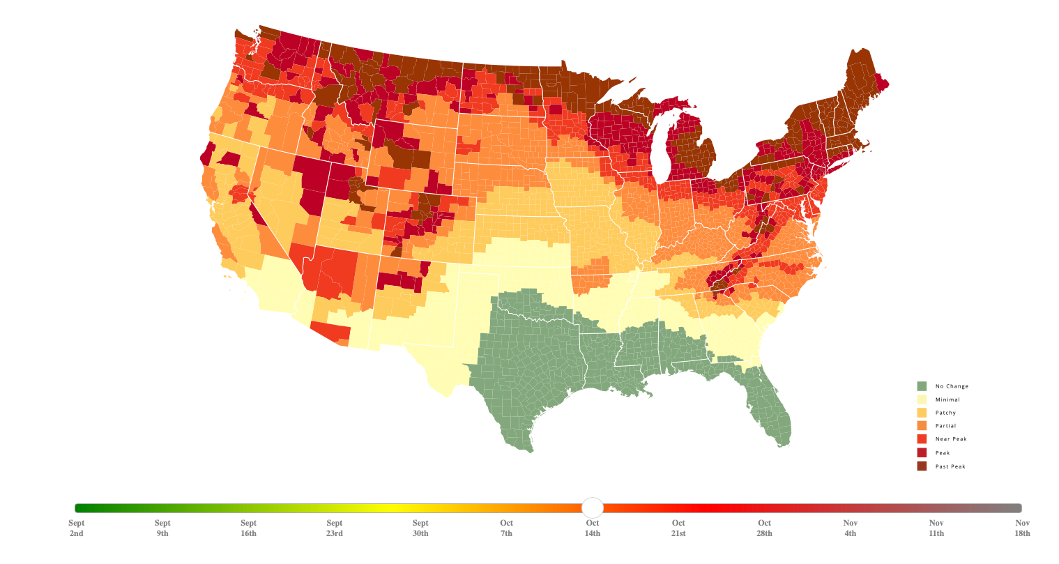 Smoky Mountains Fall Foliage Prediction Map